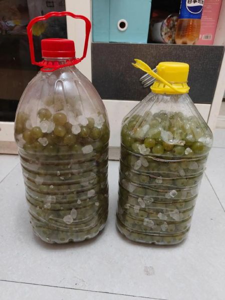 家庭自酿葡萄酒的做法_酿葡萄酒需要哪些材料
