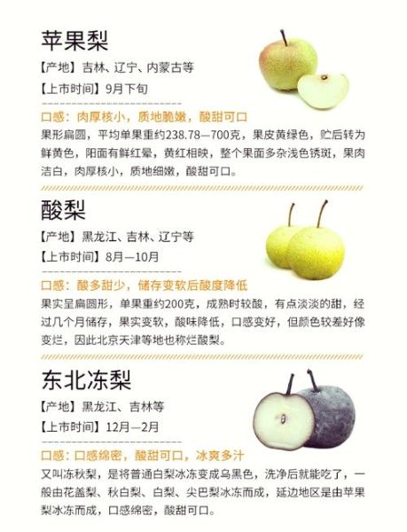 梨子怎么挑选_梨子有哪些品种