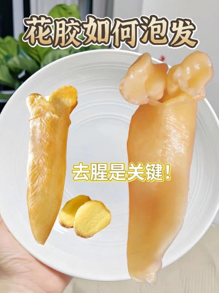 鱼胶怎么泡发_鱼胶炖汤做法