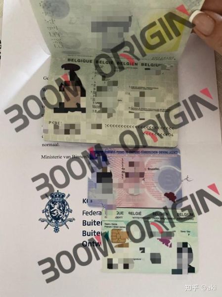 比利时移民费用多少钱_比利时移民费用明细