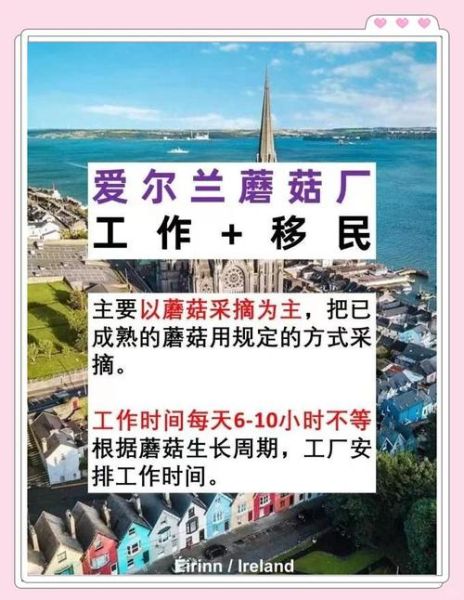 爱尔兰移民需要什么条件_爱尔兰移民申请流程