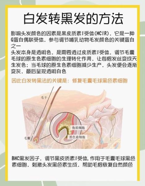 白发是什么原因引起的_白发怎么调理变黑发
