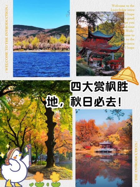 金秋时节去哪里旅游好_秋季赏枫最佳时间