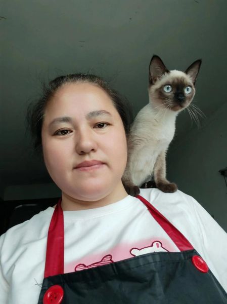 淘气的词语有哪些_如何用好淘气的词语