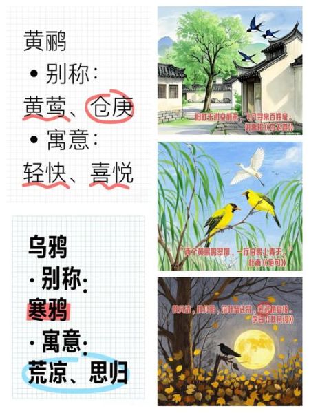 形容鸟雀的词语有哪些_如何生动描写小鸟