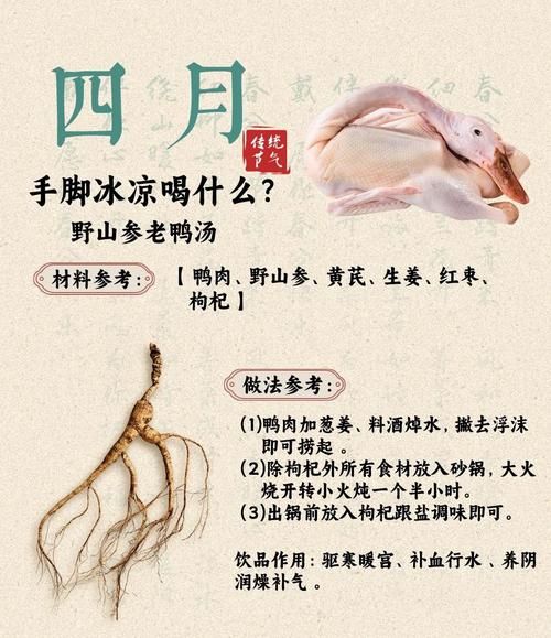 清炖鸭子怎么做_清炖鸭子放什么配料