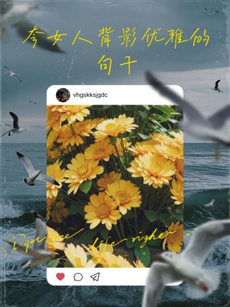 女生背影唯美句子怎么写_女生背影描写技巧