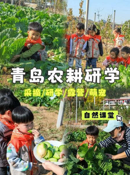 冬耕春收是什么意思_冬耕春收如何实践