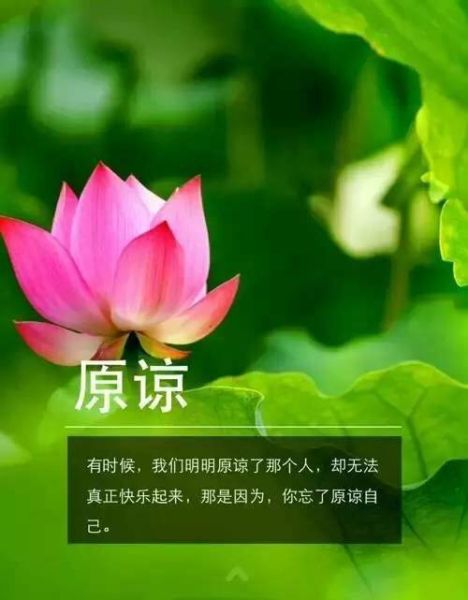 绿色三字词语有哪些_如何描写绿色意境