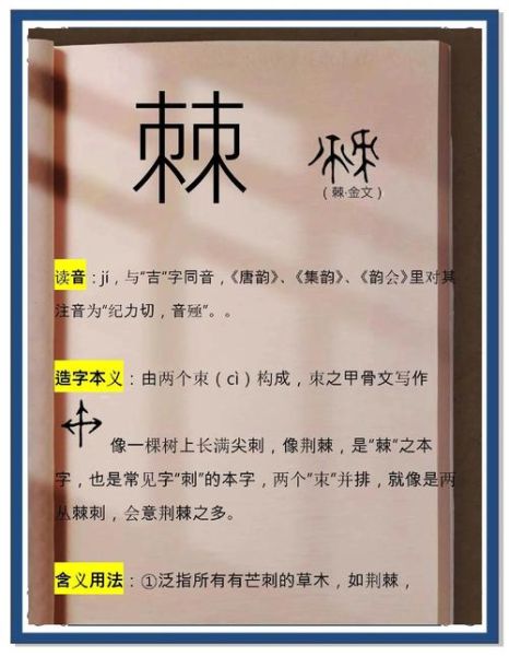 荆棘词语是什么意思_如何正确使用荆棘词语