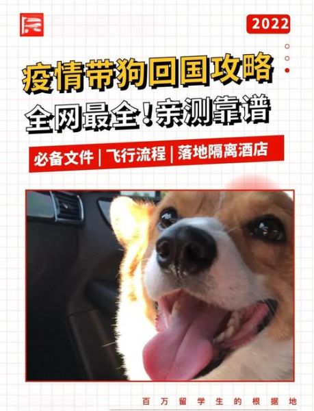 宠物移民需要什么手续_宠物出国流程多久