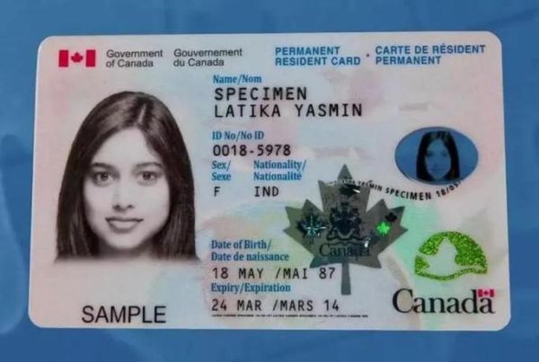 加拿大移民新政2024_如何快速获批枫叶卡