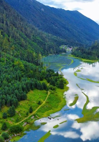 绿色景色的词语有哪些_如何描写绿色景色