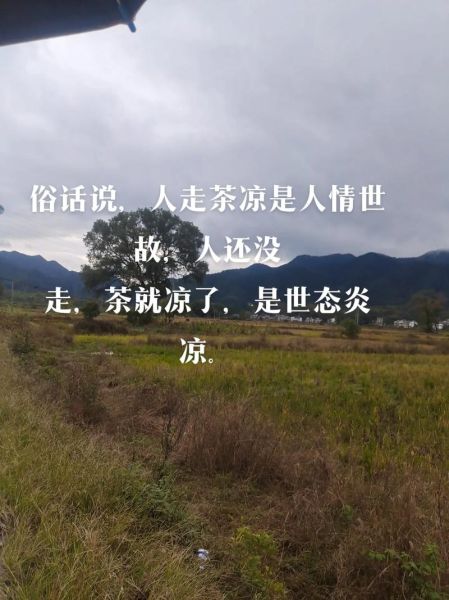 人走茶凉是什么意思_如何避免人走茶凉