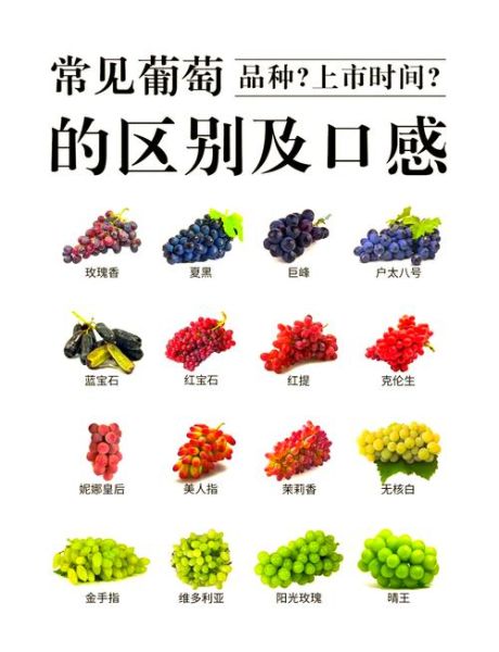 葡萄什么味_葡萄味道像什么