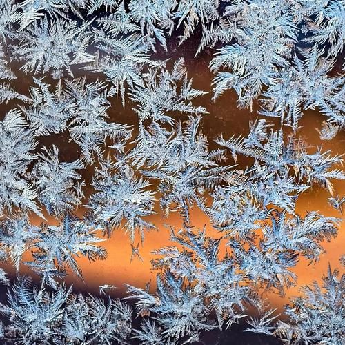 窗户结冰怎么办_冬天窗户结冰花原因