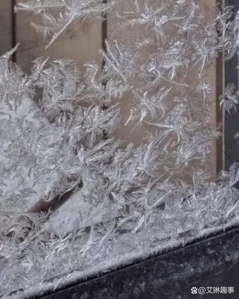 窗户结冰怎么办_冬天窗户结冰花原因