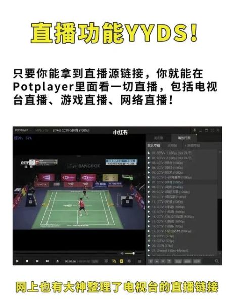 potplayer手机版下载地址_potplayer安卓版怎么安装