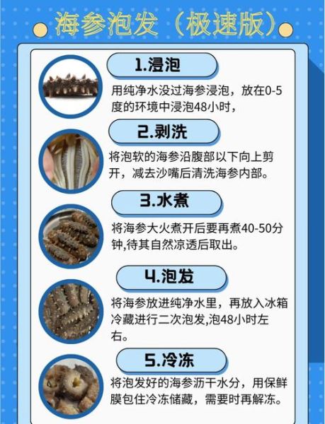 海参怎么泡发_海参的家常做法