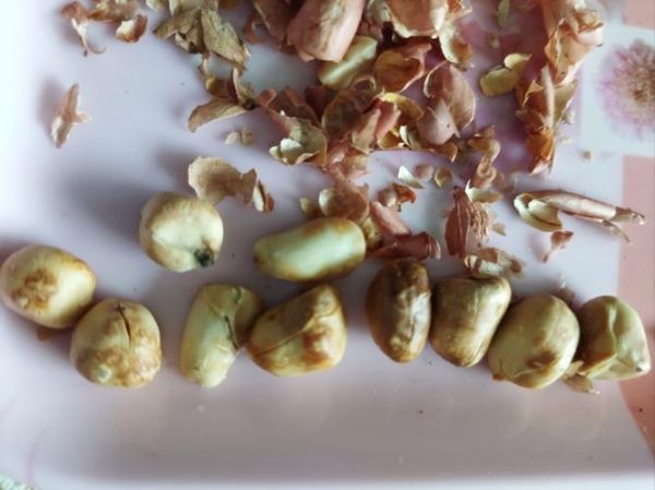 花生怎么保存不长霉_新鲜花生能放多久