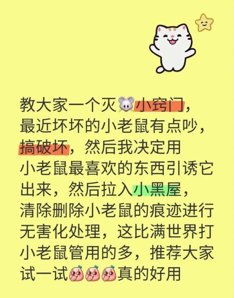 老鼠怎么彻底消灭_家里出现老鼠怎么办