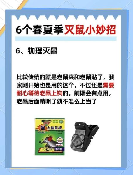 老鼠怎么彻底消灭_家里出现老鼠怎么办