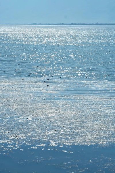 波光粼粼怎么造句_波光粼粼是什么意思