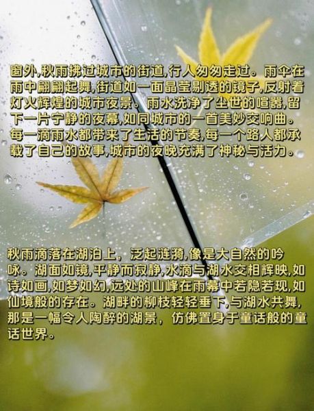 形容秋雨的词语有哪些_秋雨怎么描写才动人