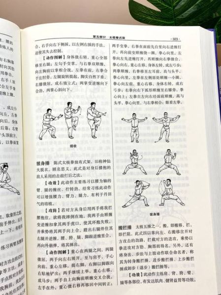 练太极的好处有哪些_初学者怎么开始练太极