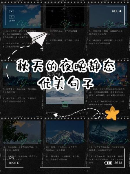 秋天晚风怎么形容_秋天晚风适合做什么