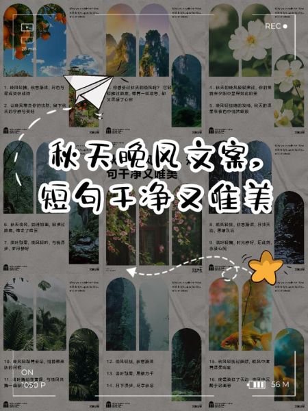 秋天晚风怎么形容_秋天晚风适合做什么