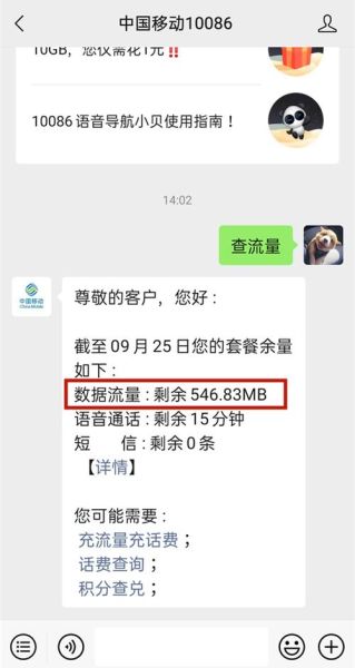 手机流量怎么查询_如何查手机剩余流量