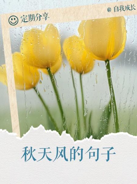 秋天晚风怎么形容_秋天晚风适合做什么