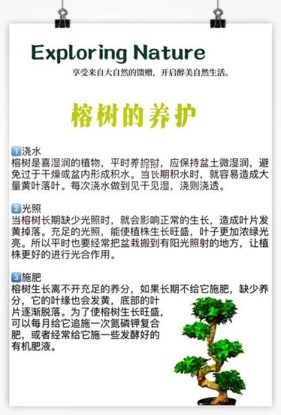 树叶落是什么原因_树叶落了怎么办