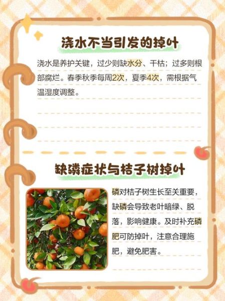 树叶落是什么原因_树叶落了怎么办