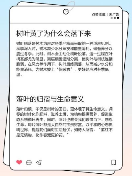 树叶落是什么原因_树叶落了怎么办