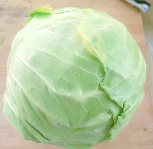 圆白菜饺子馅怎么做_圆白菜饺子馅做法大全