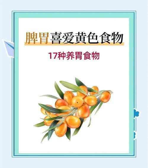 甘味是什么味道_甘味食物有哪些