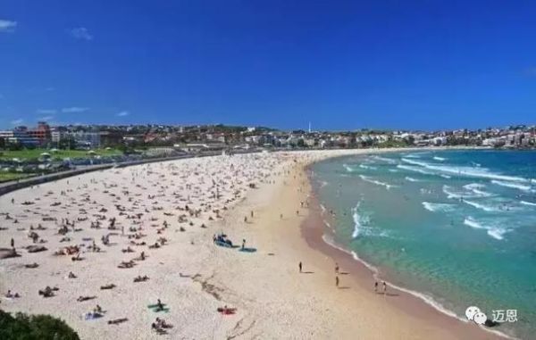 迈恩移民靠谱吗_迈恩移民成功率怎么样