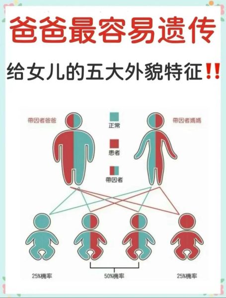 父女像不像怎么看_父女像的遗传规律