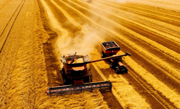 精耕是什么意思_精耕细作有哪些具体方法