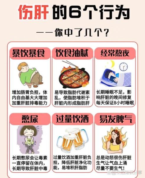 酒对肝脏的危害有多大_长期饮酒如何护肝