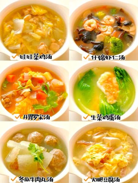 汤的100种做法_怎么做简单又营养