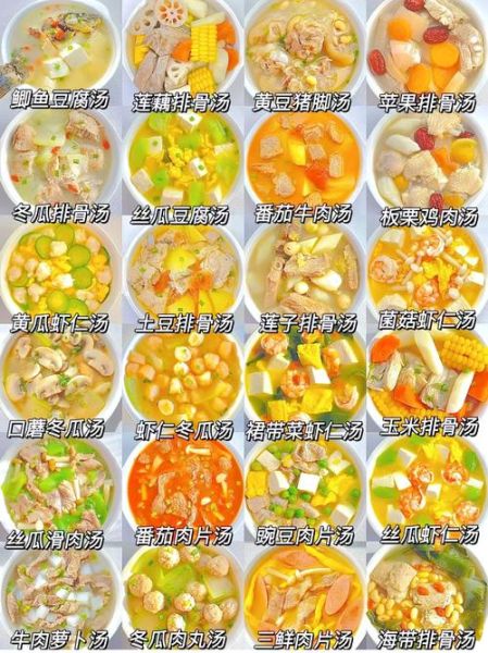 汤的100种做法_怎么做简单又营养