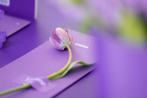 紫色ABB词语有哪些_如何运用在写作中