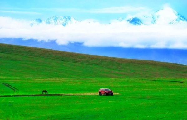 中国最美草原在哪里_草原风景特点有哪些