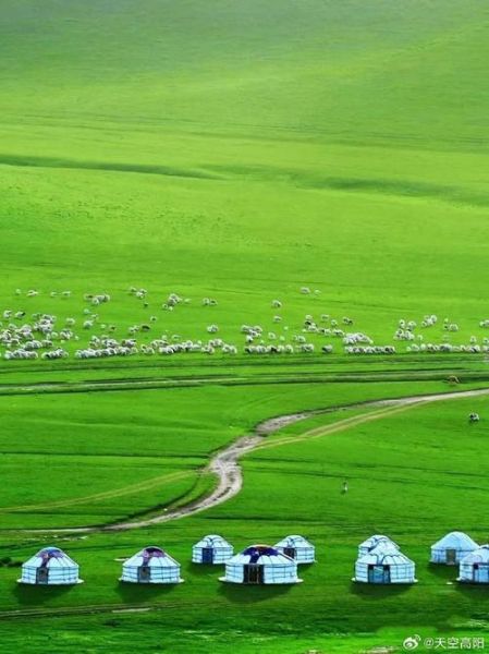 中国最美草原在哪里_草原风景特点有哪些