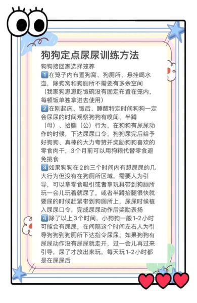 小狗怎么训练定点大小便_新手养小狗要注意什么