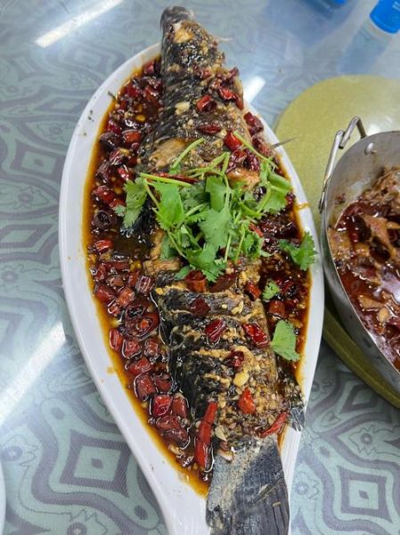 黑鱼怎么做好吃_黑鱼的家常做法