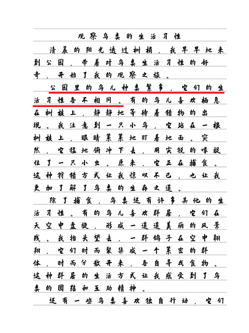 鸟类词语有哪些_如何写作文